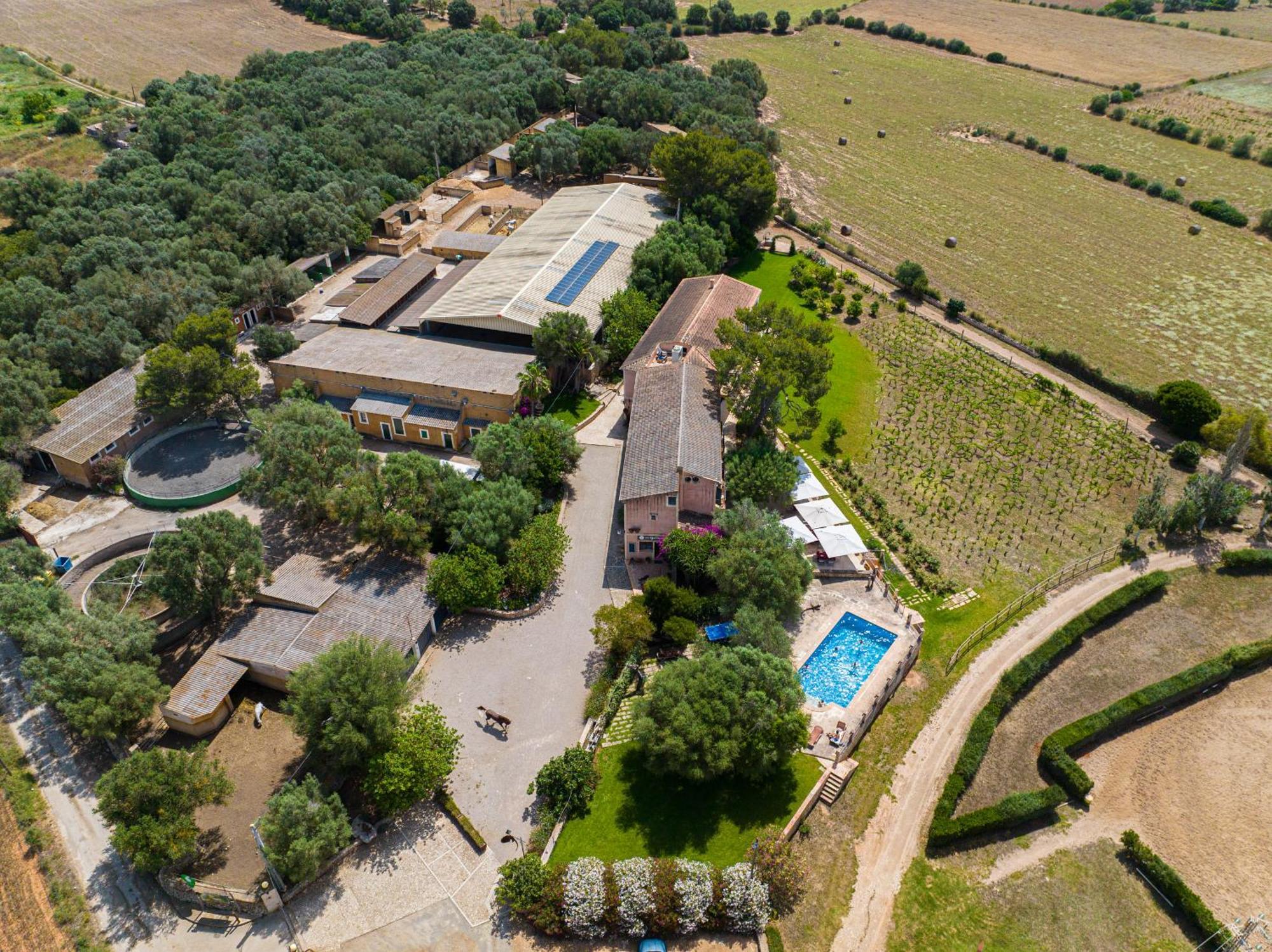 Finca Agroturismo Son Menut 펠라니트스 외부 사진