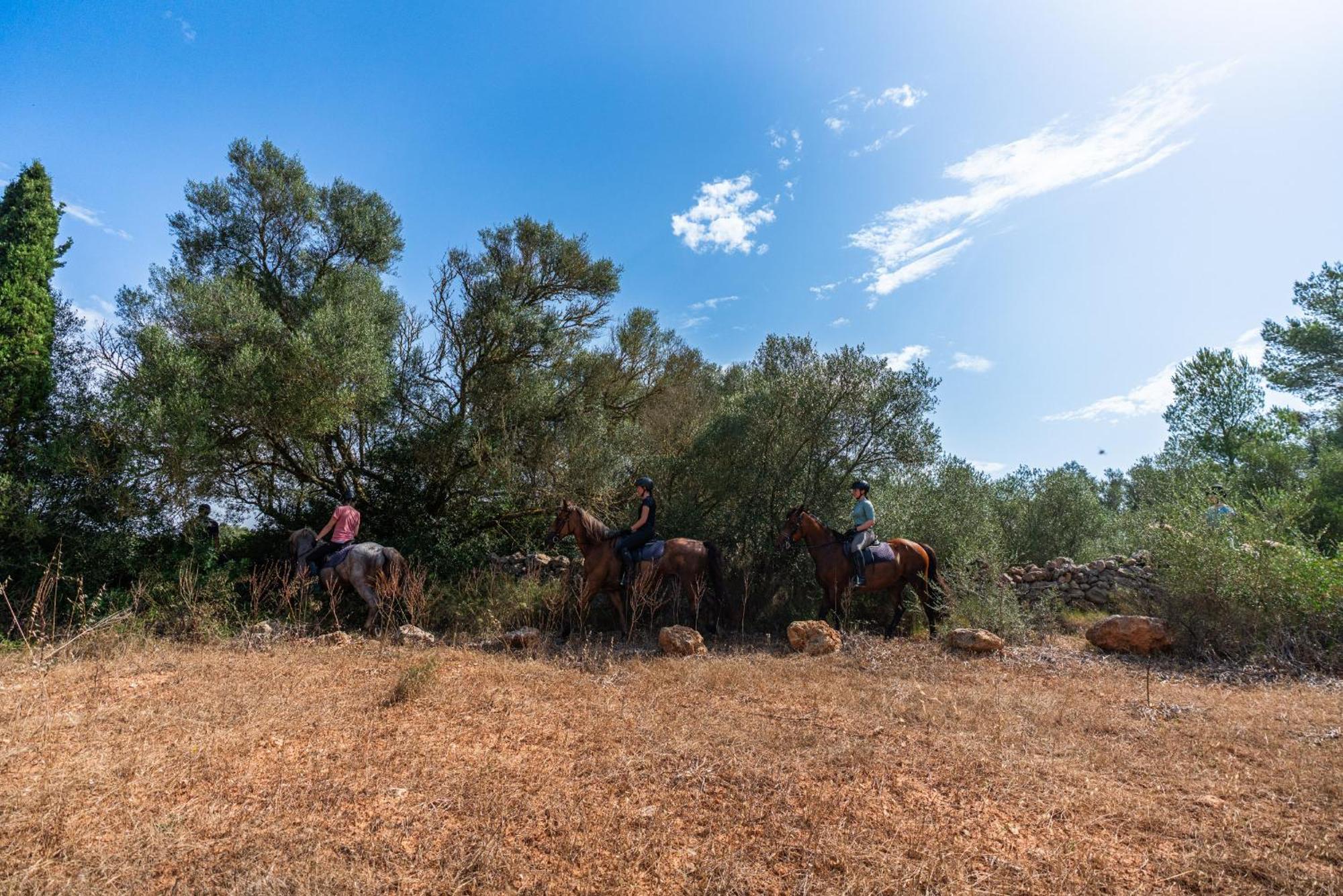 Finca Agroturismo Son Menut 펠라니트스 외부 사진