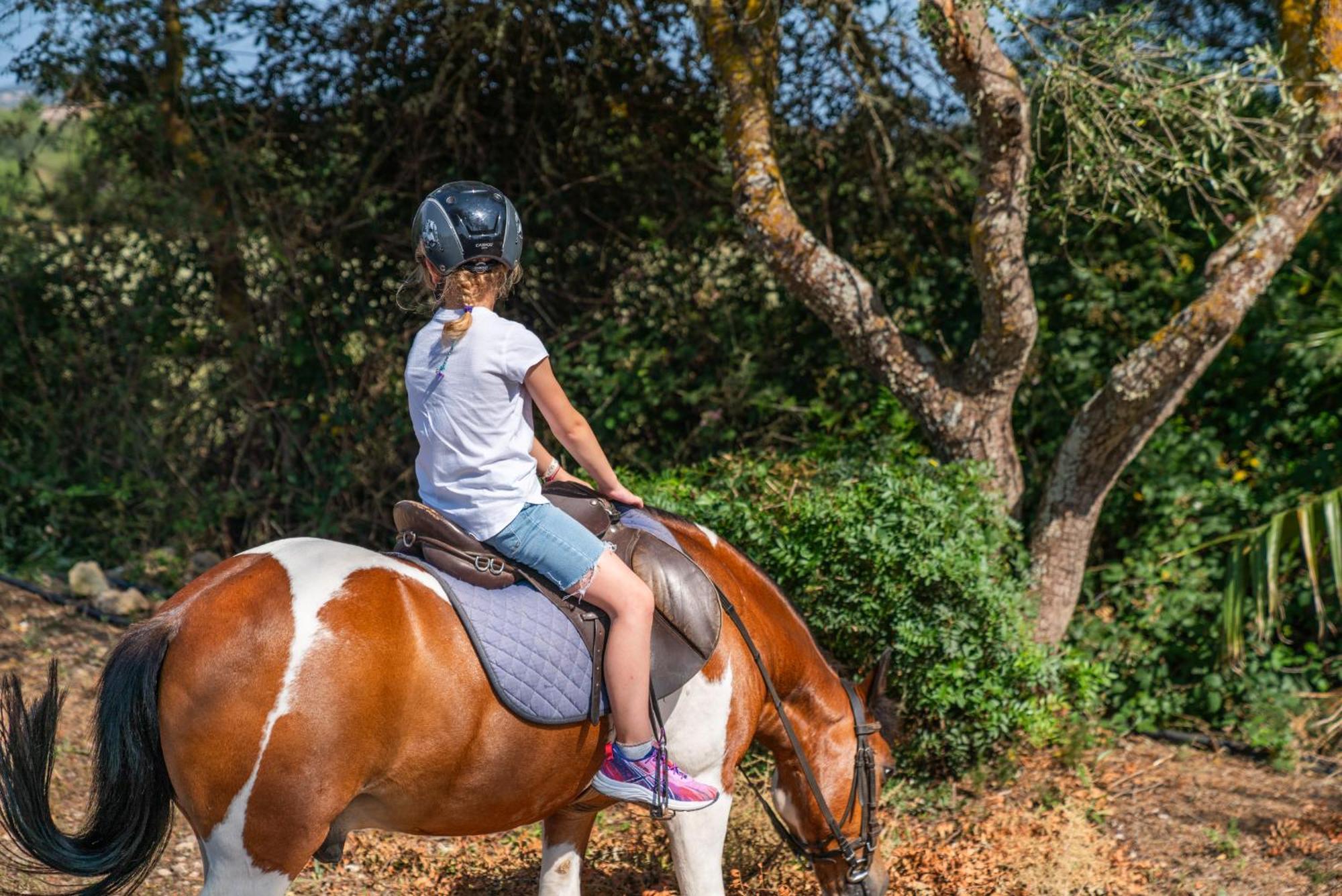 Finca Agroturismo Son Menut 펠라니트스 외부 사진